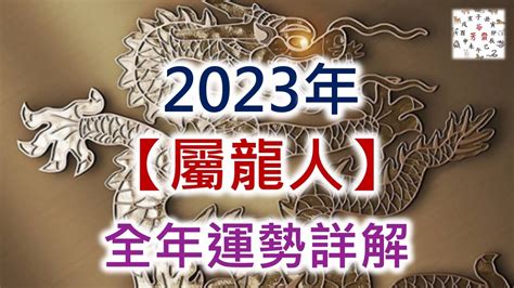 丙辰龍2024|2024年屬龍人的全年運勢（超詳細）